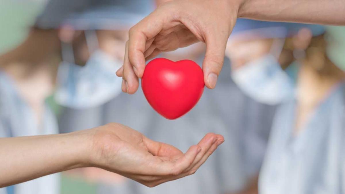 Organ Bağışı Konusunun Hukuki Altyapısı