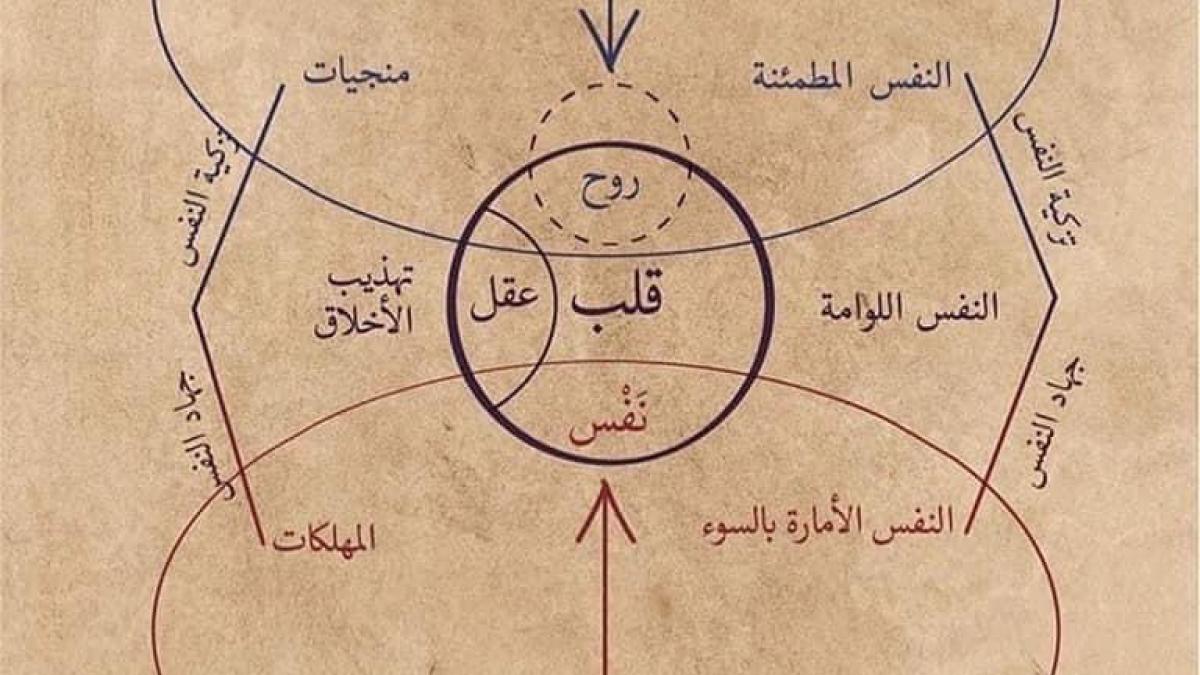 İbn Arabî'nin ruh diyagramı İnsanın İçsel Yolculuğu: Kalp, Akıl, Nefs ve Ruh Üzerine Derin Bir Analiz